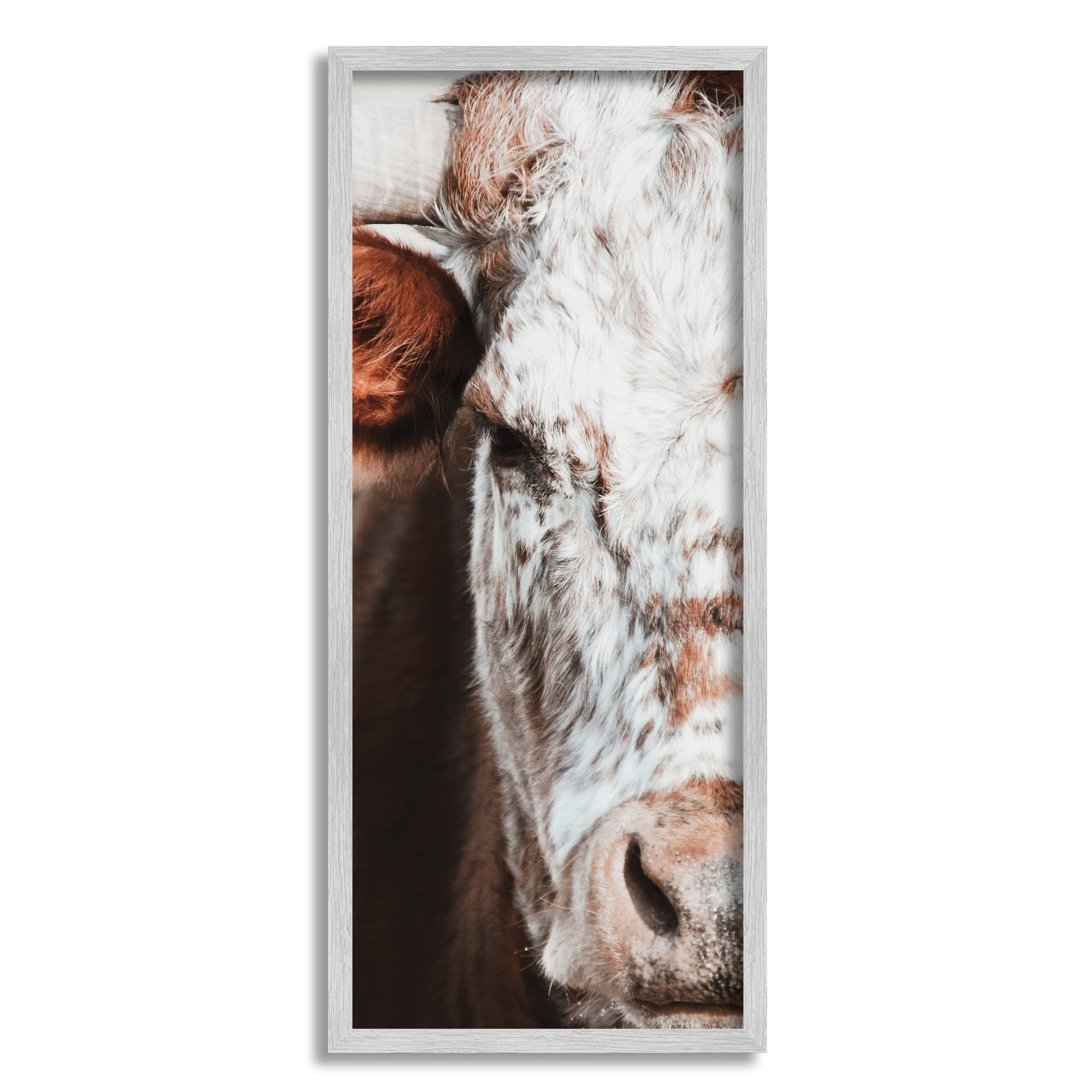 Stupell Industries Closeup Spotted Cow Cattle Detailed Farm Photography Framed Wall Art, 10 x 24, Design by White Ladder