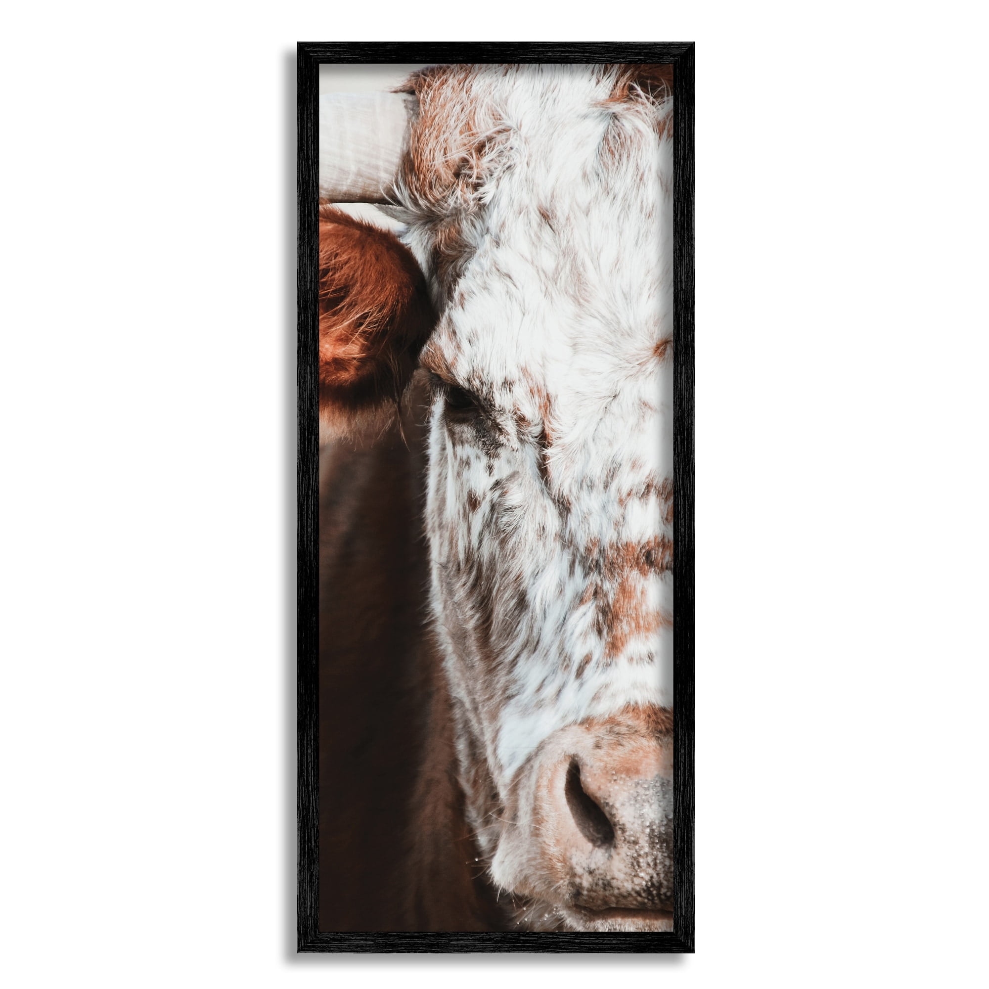 Closeup Spotted Cow Cattle Detailed Farm Photography Animals & Insects Photograph Framed Art Print Wall Art