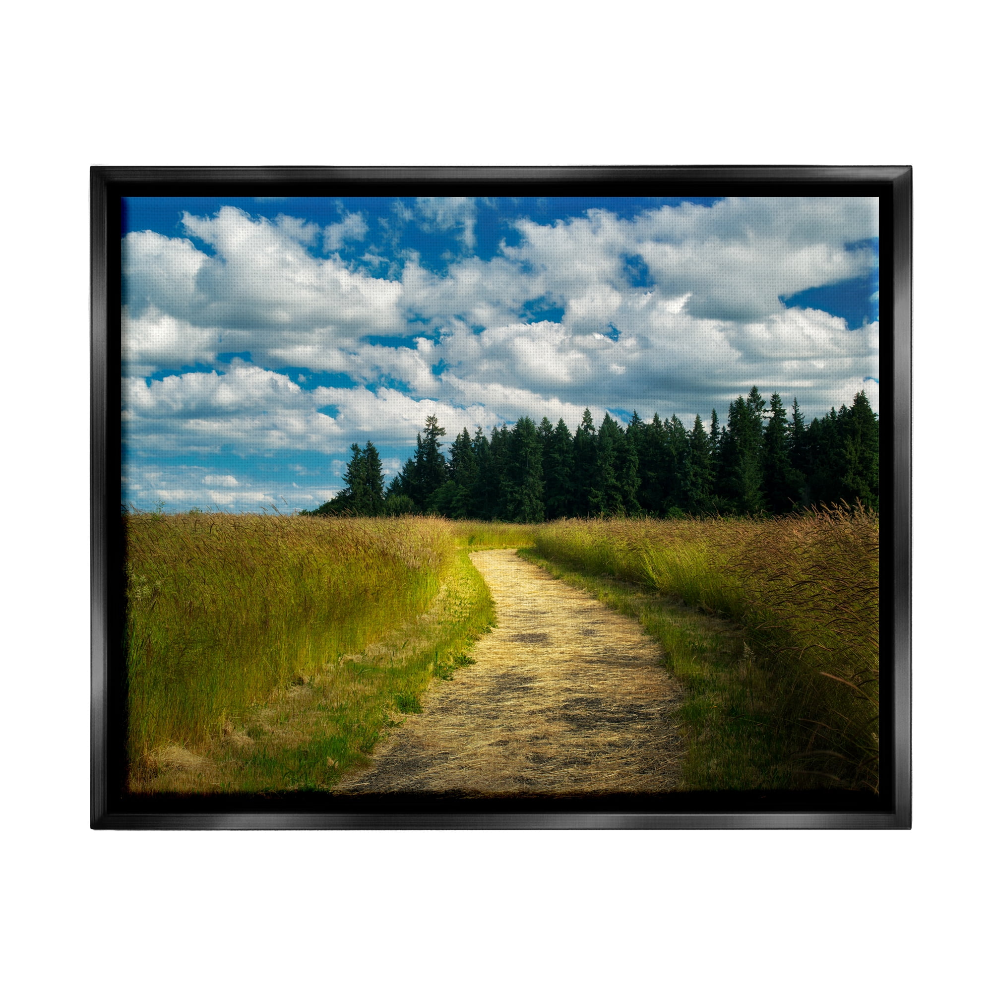 Stupell Industries Cloudy Rural Path Grassland Landscape Photography Black Floater Framed Art Print Wall Art