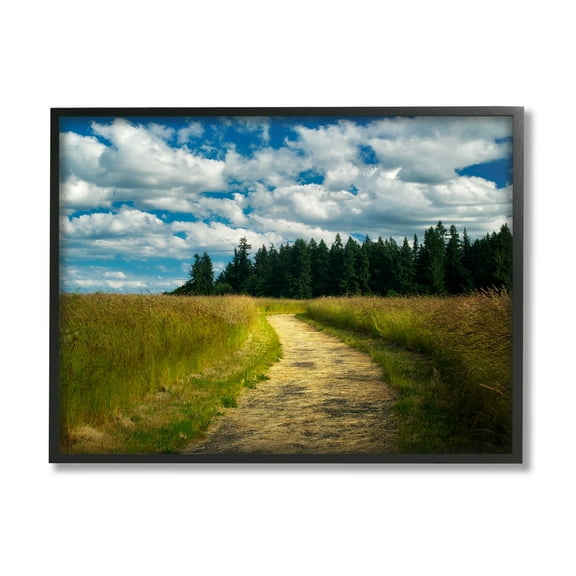 Stupell Industries Cloudy Rural Path Grassland Landscape Photography Black Framed Art Print Wall Art