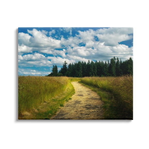 Stupell Industries Cloudy Rural Path Grassland Landscape Photography Gallery Wrapped Canvas Print Wall Art