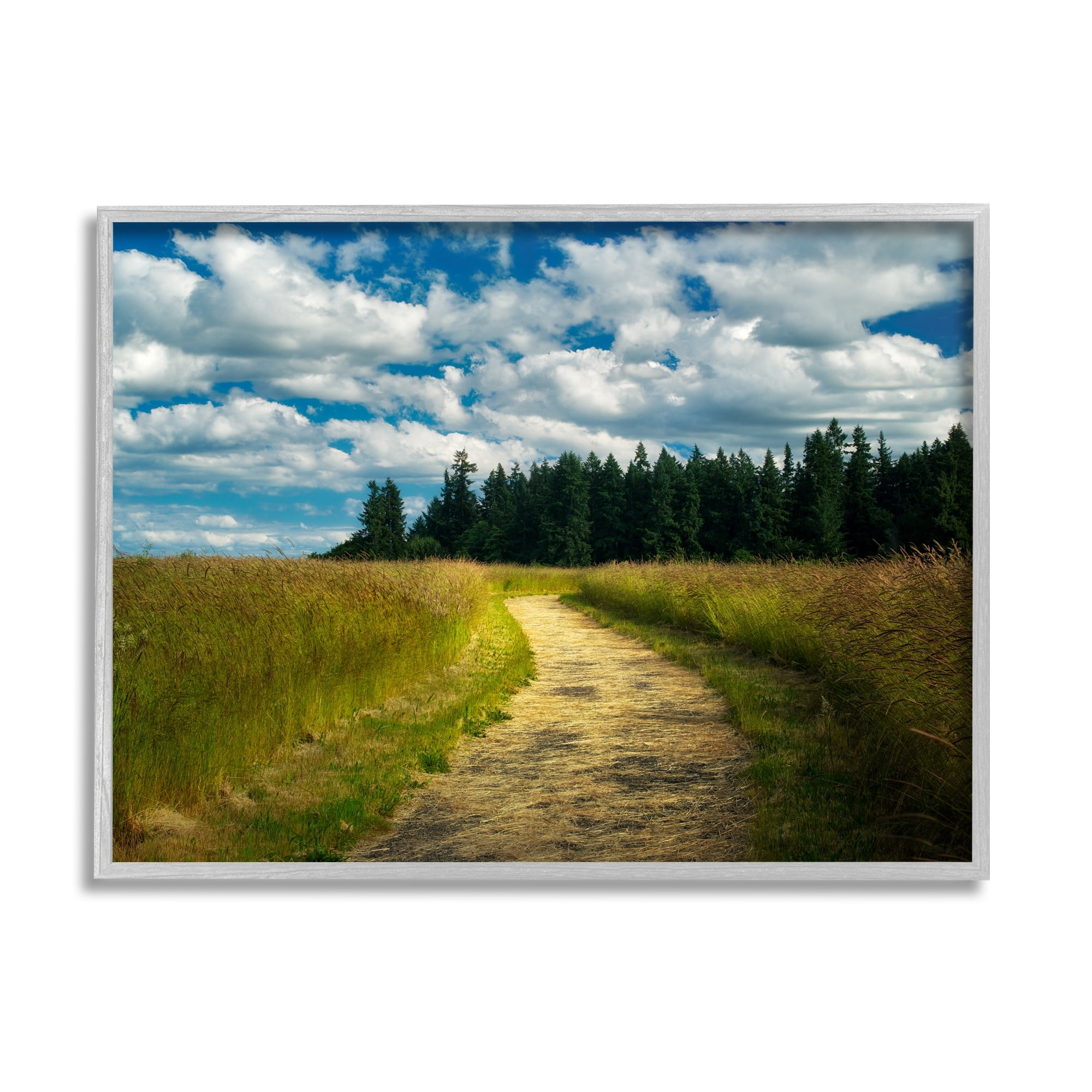 Stupell Industries Cloudy Rural Path Grassland Landscape Photography Gray Framed Art Print Wall Art