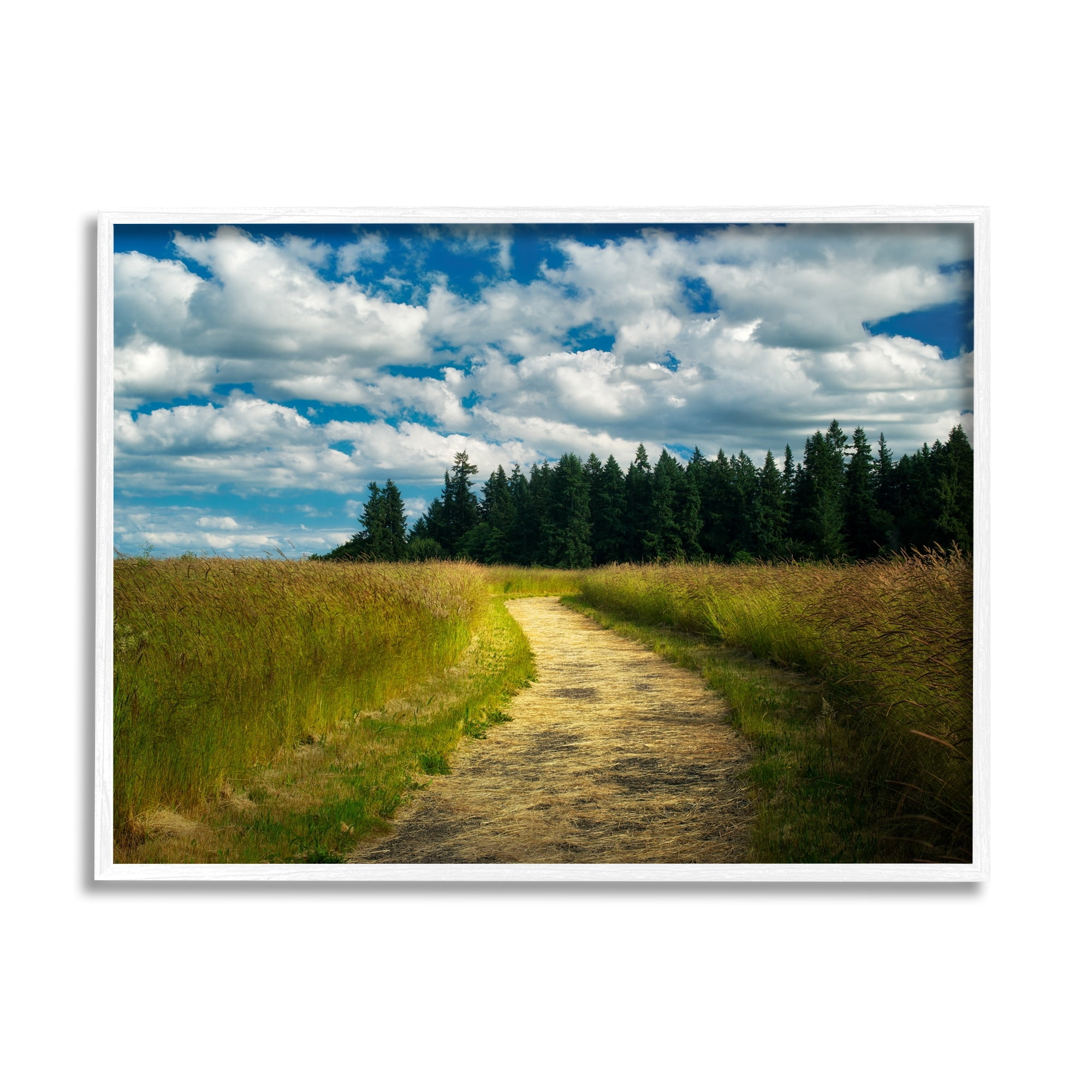 Stupell Industries Cloudy Rural Path Grassland Landscape Photography White Framed Art Print Wall Art