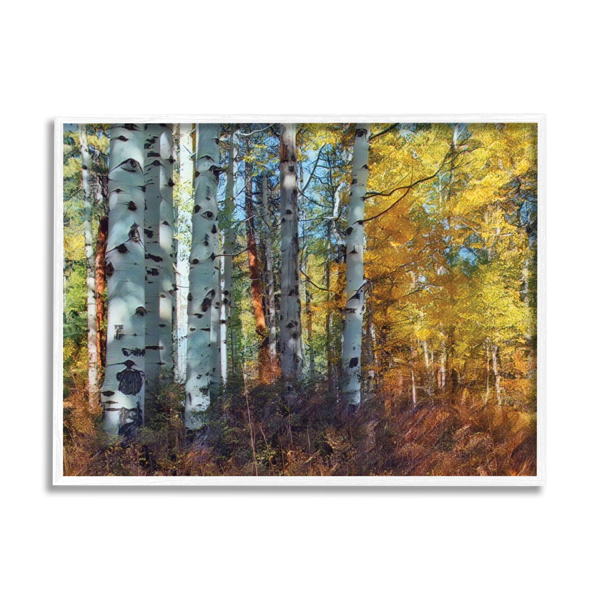 Stupell Industries Cluster of Birch Trees in Yellow Autumn Forest, 16 x 20, Designed by Larry McFerrin