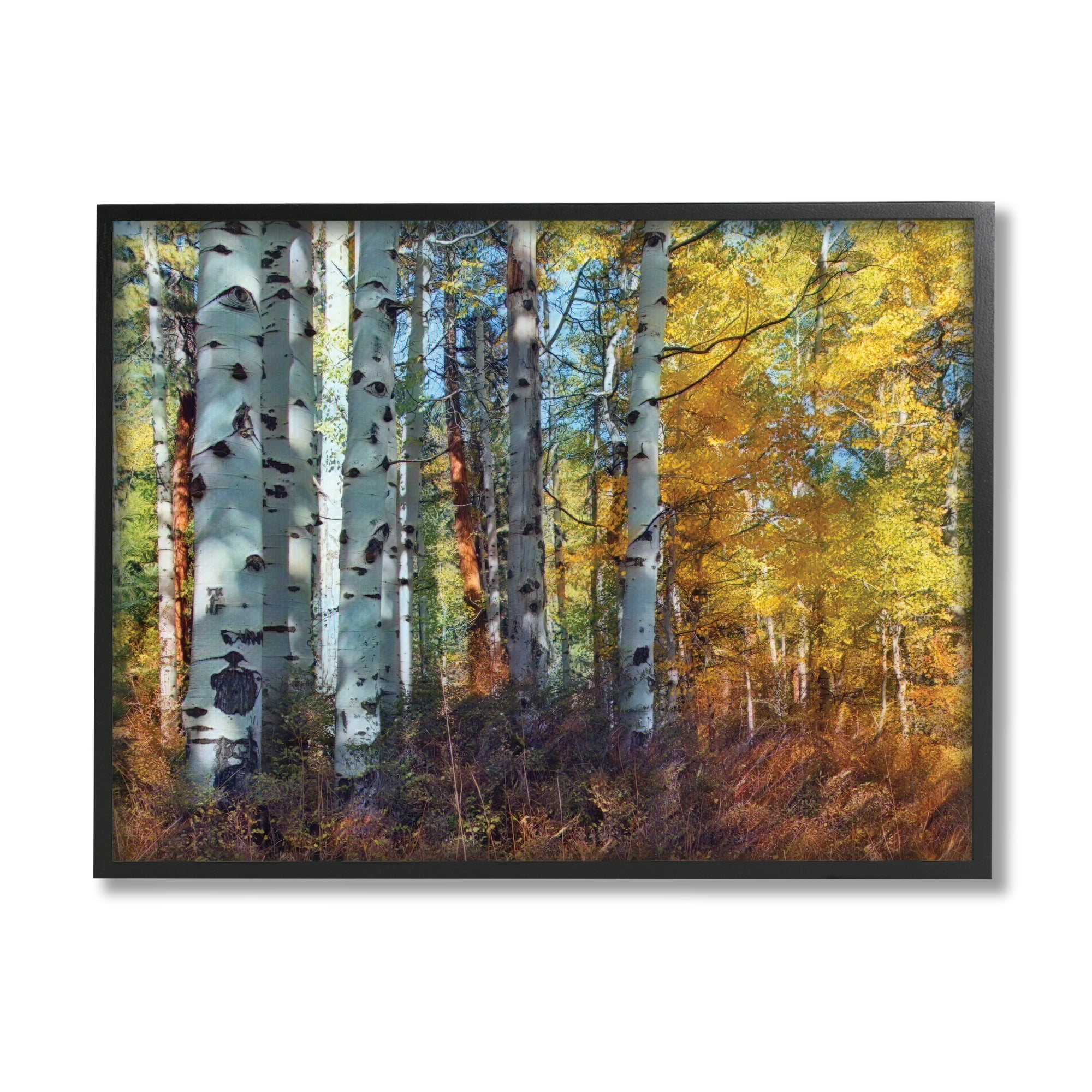 Stupell Industries Cluster of Birch Trees in Yellow Autumn Forest, 16 x 20, Designed by Larry McFerrin