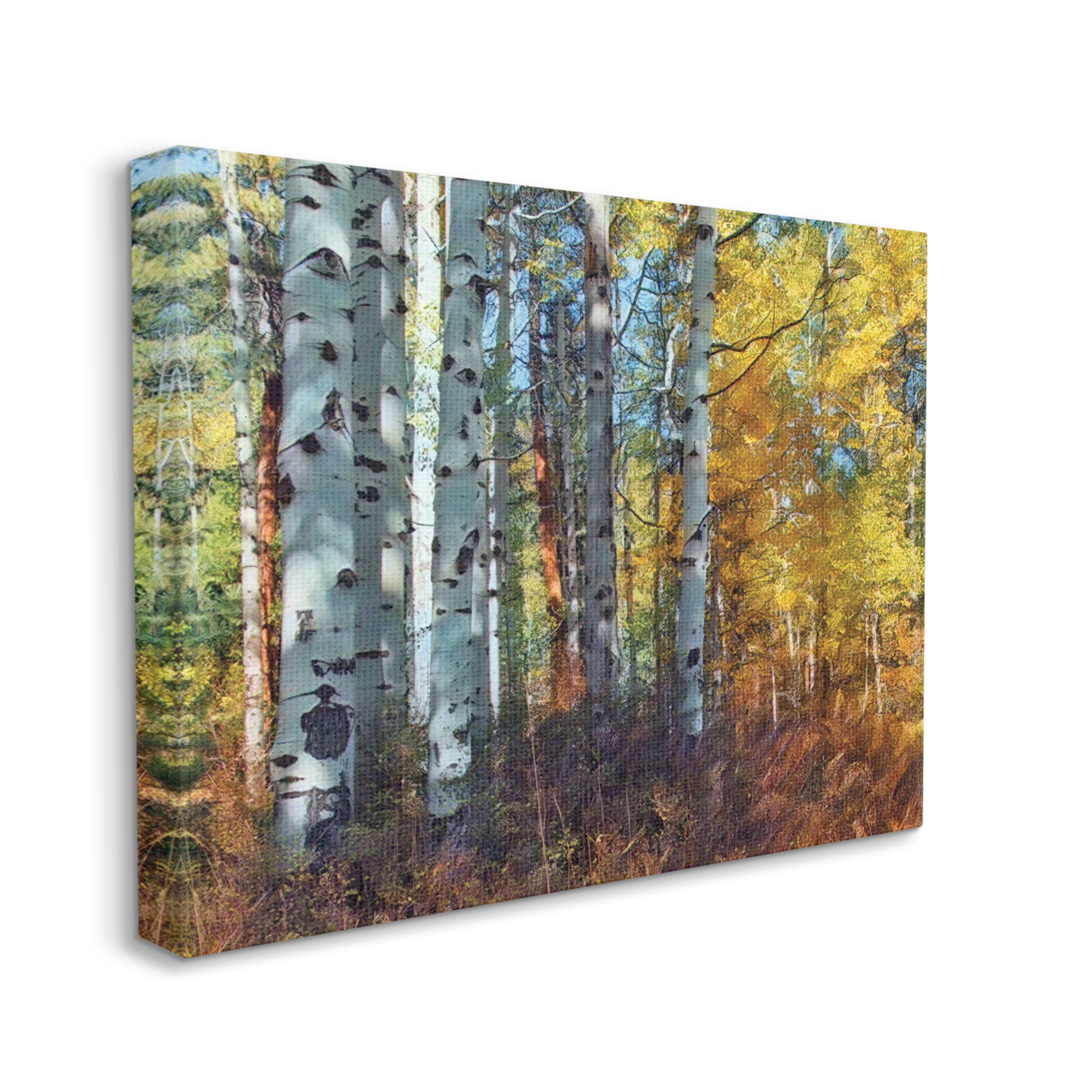 Stupell Industries Cluster of Birch Trees in Yellow Autumn Forest, 36 x 48, Designed by Larry McFerrin
