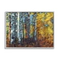 thumbnail image 1 of Stupell Industries Cluster of Birch Trees in Yellow Autumn Forest Photography Gray Framed Art Print Wall Art, 24x30, by Larry McFerrin, 1 of 7