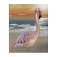 thumbnail image 1 of Stupell Industries Coastal Coastal Beach Flamingo Canvas Art, 16 x 20, by Matthew Piotrowicz, 1 of 6