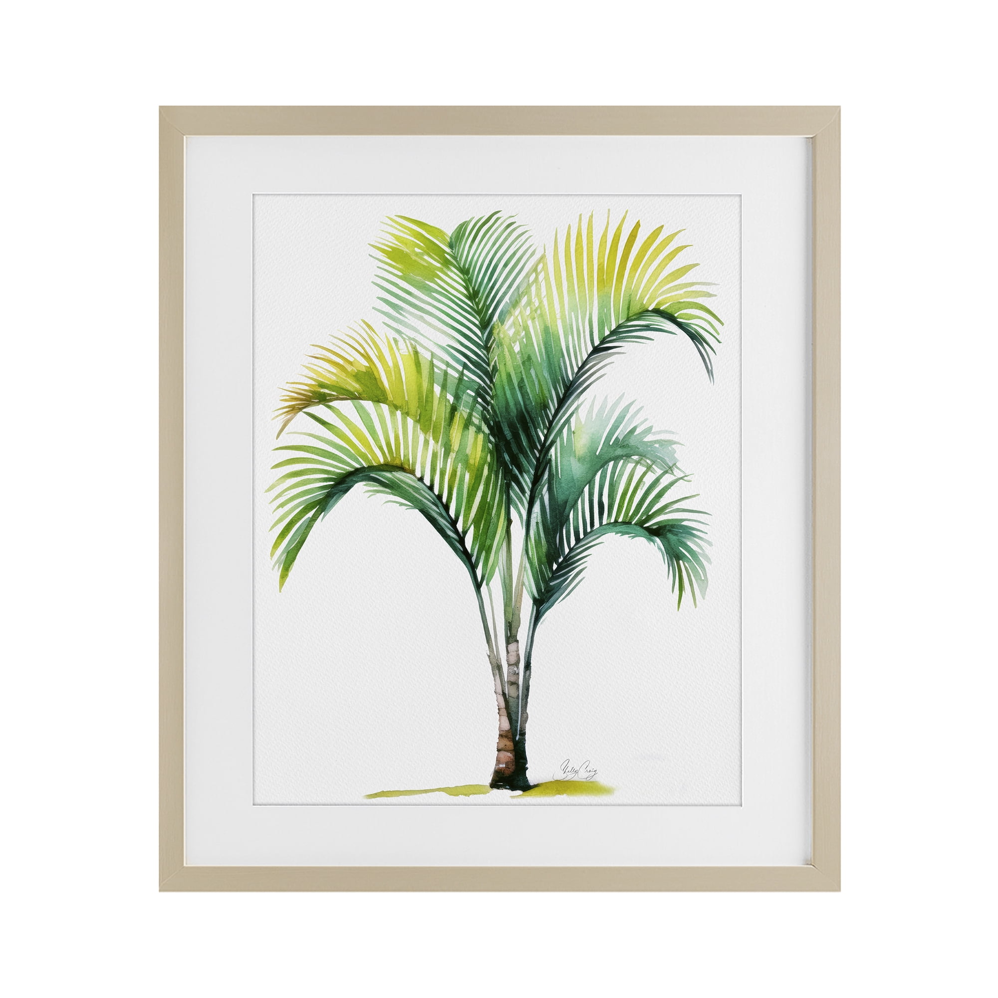 Stupell Industries Coastal Canopy Palm Tree Birch Framed Print Under Glass, design by Shelly Craig