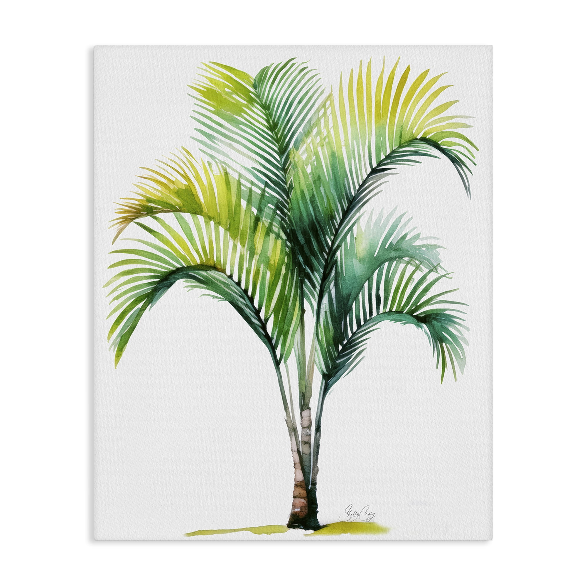 Stupell Industries Coastal Canopy Palm Tree Canvas Wall Art, design by Shelly Craig