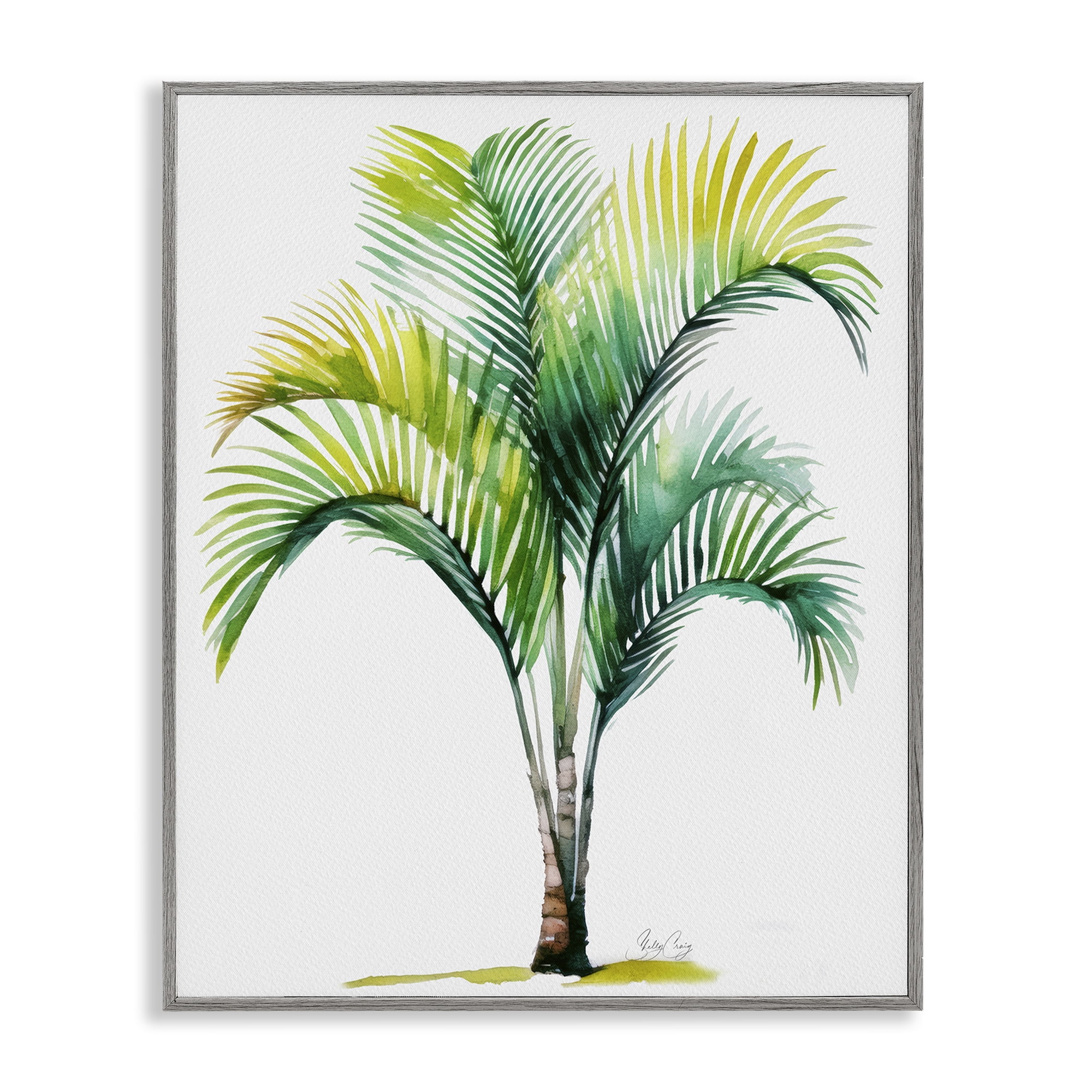 Stupell Industries Coastal Canopy Palm Tree Gray Framed Giclee Art, design by Shelly Craig