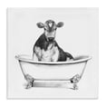 thumbnail image 1 of Stupell Industries Coastal Cow in Bathtub Sketch Canvas Art, 30 x 30, by Victoria Borges, 1 of 7