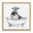 thumbnail image 1 of Stupell Industries Coastal Cow in Bathtub Sketch Gold Floating Frame Canvas Art, 18 x 18, by Victoria Borges, 1 of 7