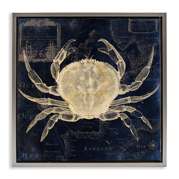 Stupell Industries Coastal Crab Contour over Map Gray Floating Frame Canvas Art, 25 x 25, by Sasha