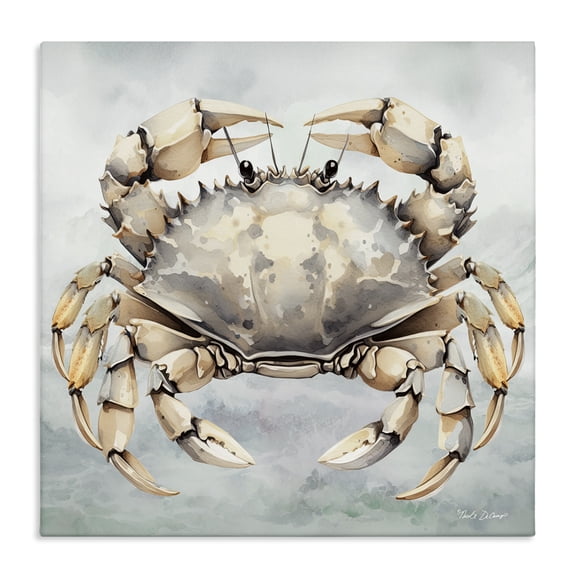 Stupell Industries Coastal Detailed Sea Crab Canvas Art, 24 x 24, by Nicole DeCamp