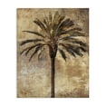 thumbnail image 1 of Stupell Industries Coastal Distressed Palm Tree Canvas Art, 16 x 20, by Dan Sproul, 1 of 8