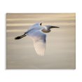 thumbnail image 1 of Stupell Industries Coastal Egret Gliding Aerial View Canvas Art, 20 x 16, by David Lorenz, 1 of 7