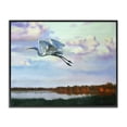 thumbnail image 1 of Stupell Industries Coastal Egret Over Lake Shore Black Framed Giclee Art, 30 x 24, by D. Rust, 1 of 8