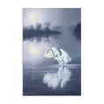 thumbnail image 1 of Stupell Industries Coastal Egret on Stormy Waters Canvas Art, 16 x 24, by D. Rust, 1 of 7