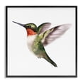 thumbnail image 1 of Stupell Industries Coastal Flying Hummingbird Wings Hovering Casual Black Framed Giclee Art, 12 x 12, by Studio Q, 1 of 7