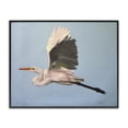 thumbnail image 1 of Stupell Industries Coastal Graceful Egret Flying Black Framed Giclee Art, 20 x 16, by D. Rust, 1 of 8