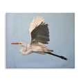 thumbnail image 1 of Stupell Industries Coastal Graceful Egret Flying Canvas Art, 48 x 36, by D. Rust, 1 of 8