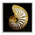 thumbnail image 1 of Stupell Industries Coastal Gray Framed Giclee Art, 12 x 12, by Caroline Kelly, 1 of 8