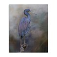 thumbnail image 1 of Stupell Industries Coastal Heron Bird Perched Woodland Branch Canvas Art, 36 x 48, by Kelley Parker, 1 of 7