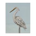 thumbnail image 1 of Stupell Industries Tropical Coastal Heron Muted Blue Canvas Art, 16 x 20, by Julie DeRice, 1 of 8