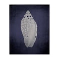 thumbnail image 1 of Stupell Industries Coastal Junonia on Indigo Canvas Art, 24 x 30, by Graffitee Studios, 1 of 8