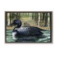 thumbnail image 1 of Stupell Industries Coastal Loon with Baby on Lake Brown Floating Frame Canvas Art, 25 x 17, by Paul Brent, 1 of 8