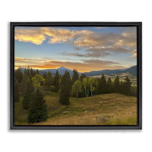 Stupell Industries Coastal Montana Sunset Forest Clearing Black Floating Frame Canvas Art, 21 x 17, by Emily Navas