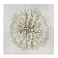 thumbnail image 1 of Stupell Industries Coastal Natural Round Coral Canvas Art, 17 x 17, by Caroline Kelly, 1 of 7
