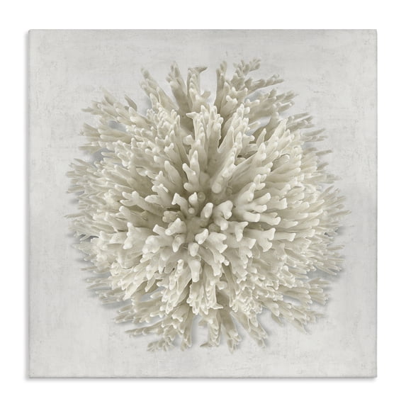 Stupell Industries Coastal Natural Round Coral Canvas Art, 17 x 17, by Caroline Kelly