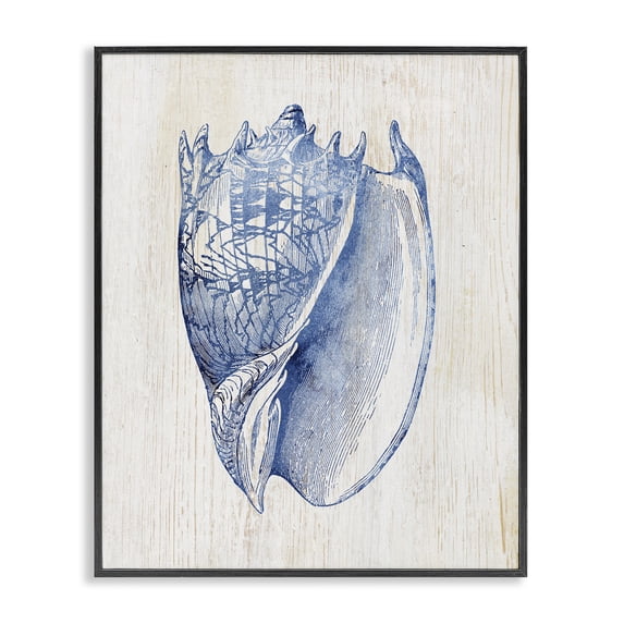 Stupell Industries Coastal Nautical Soft Blue Conch Black Framed Giclee Art, 11 x 14, by Susan Arnot