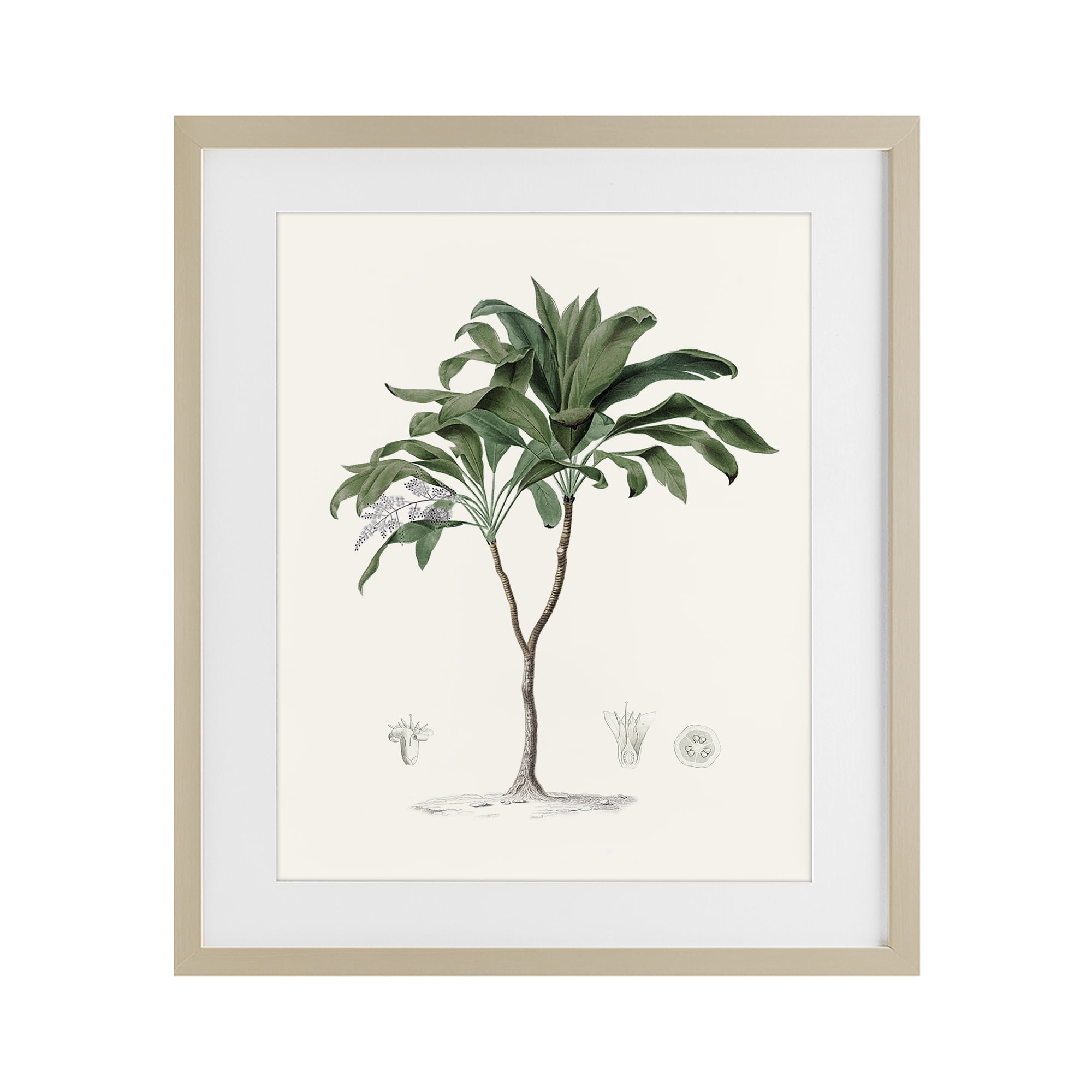 Stupell Industries Coastal Palms Vintage Birch Framed Print Under Glass, design by Val Rhodes