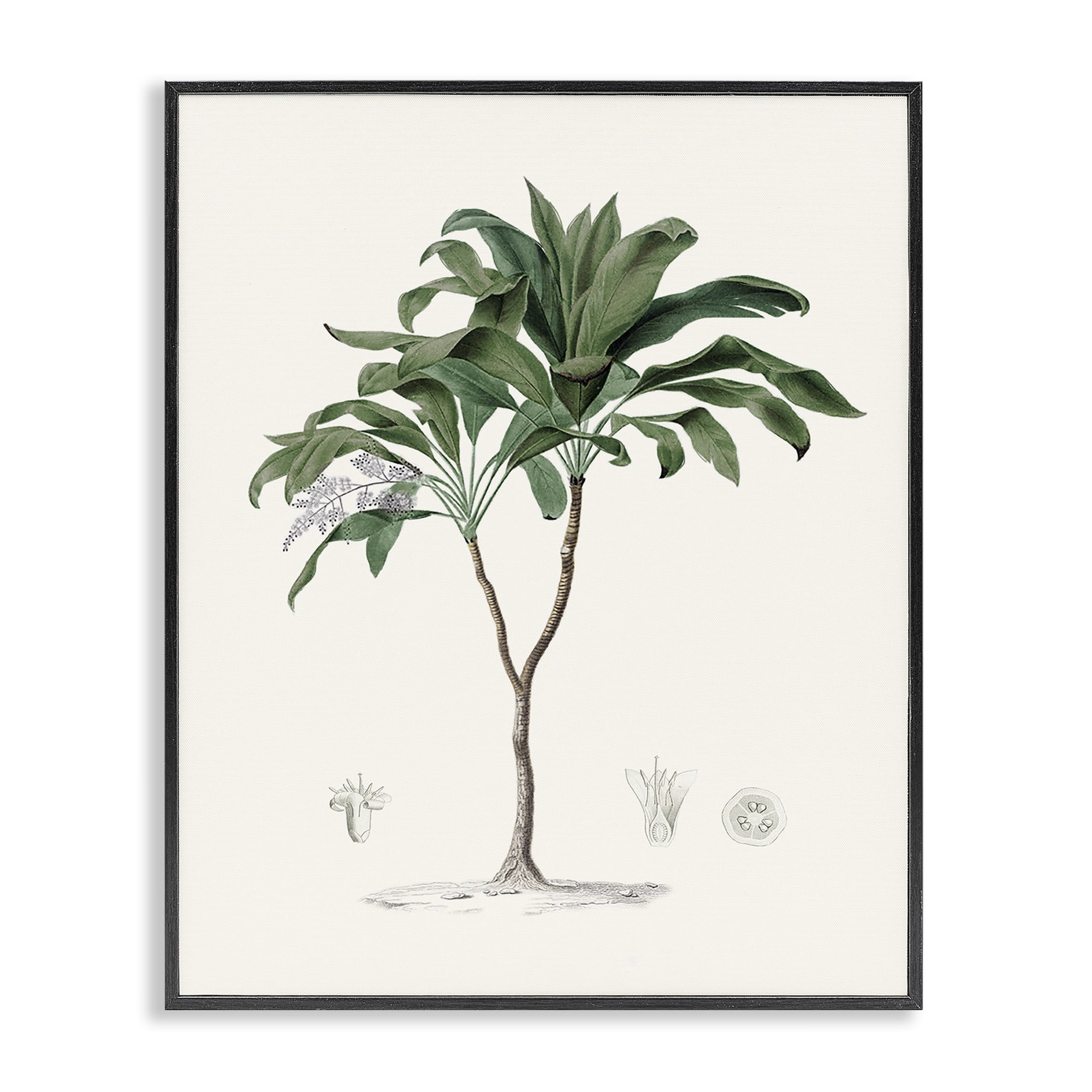Stupell Industries Coastal Palms Vintage Black Framed Giclee Art, design by Val Rhodes