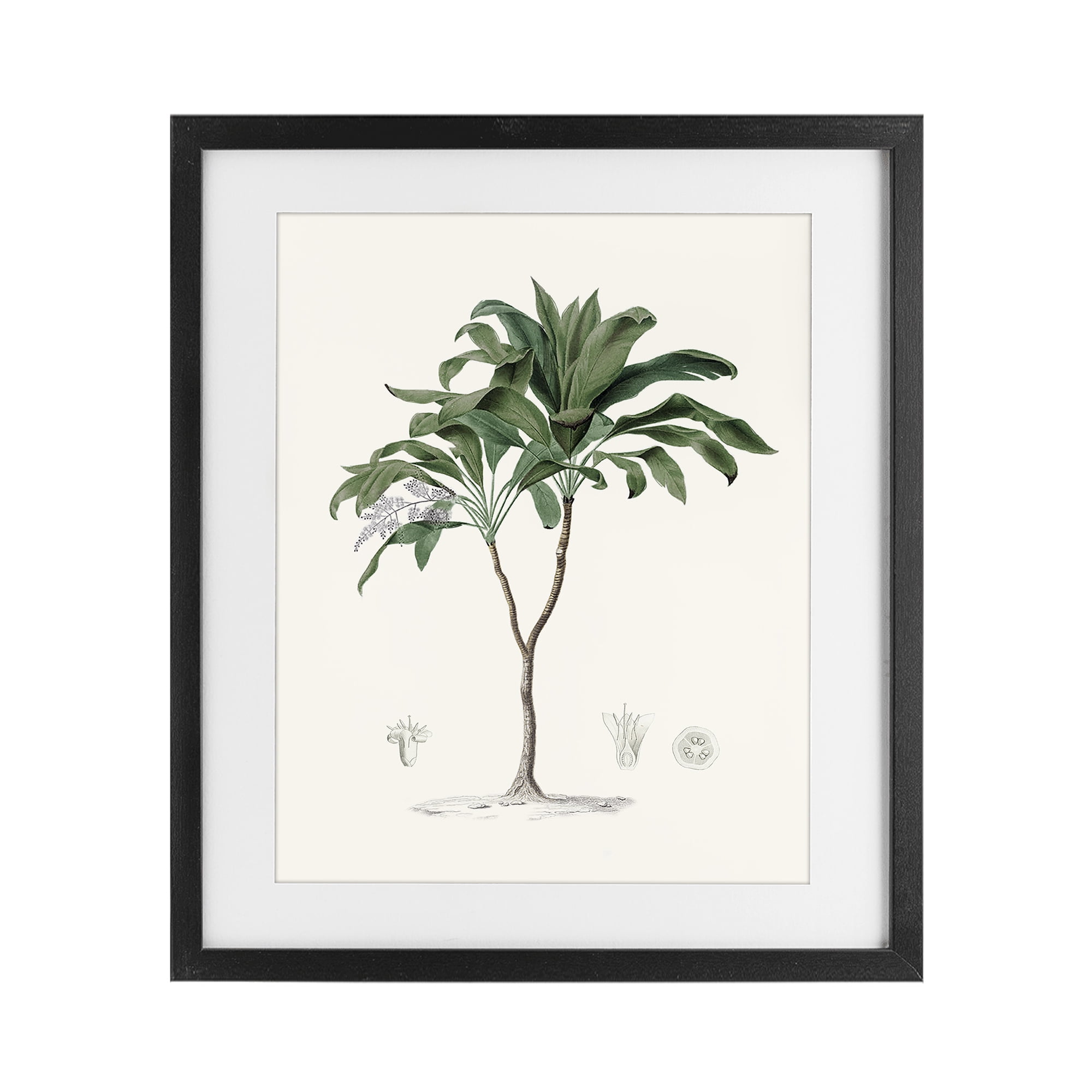 Stupell Industries Coastal Palms Vintage Black Framed Print Under Glass, design by Val Rhodes