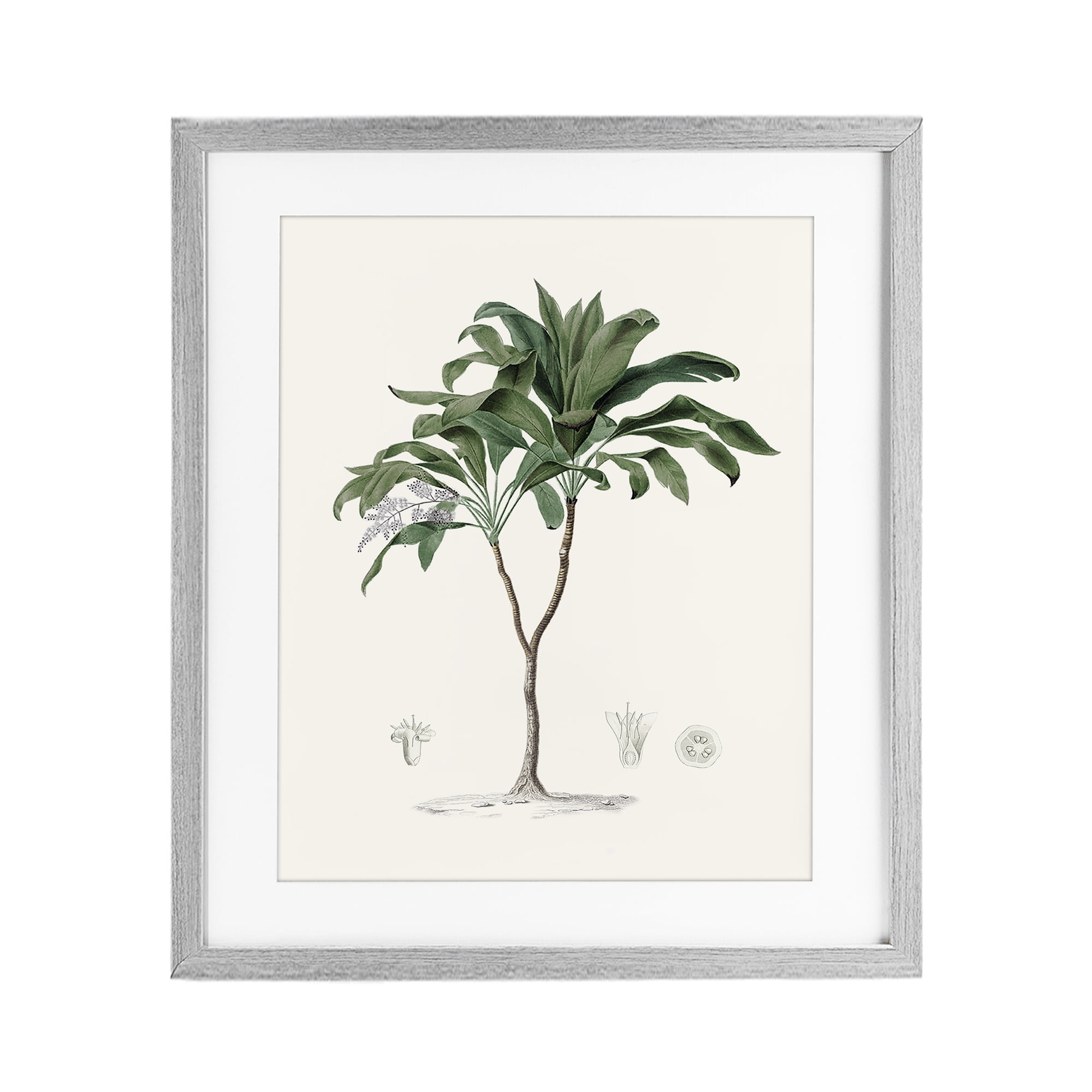 Stupell Industries Coastal Palms Vintage Gray Framed Print Under Glass, design by Val Rhodes