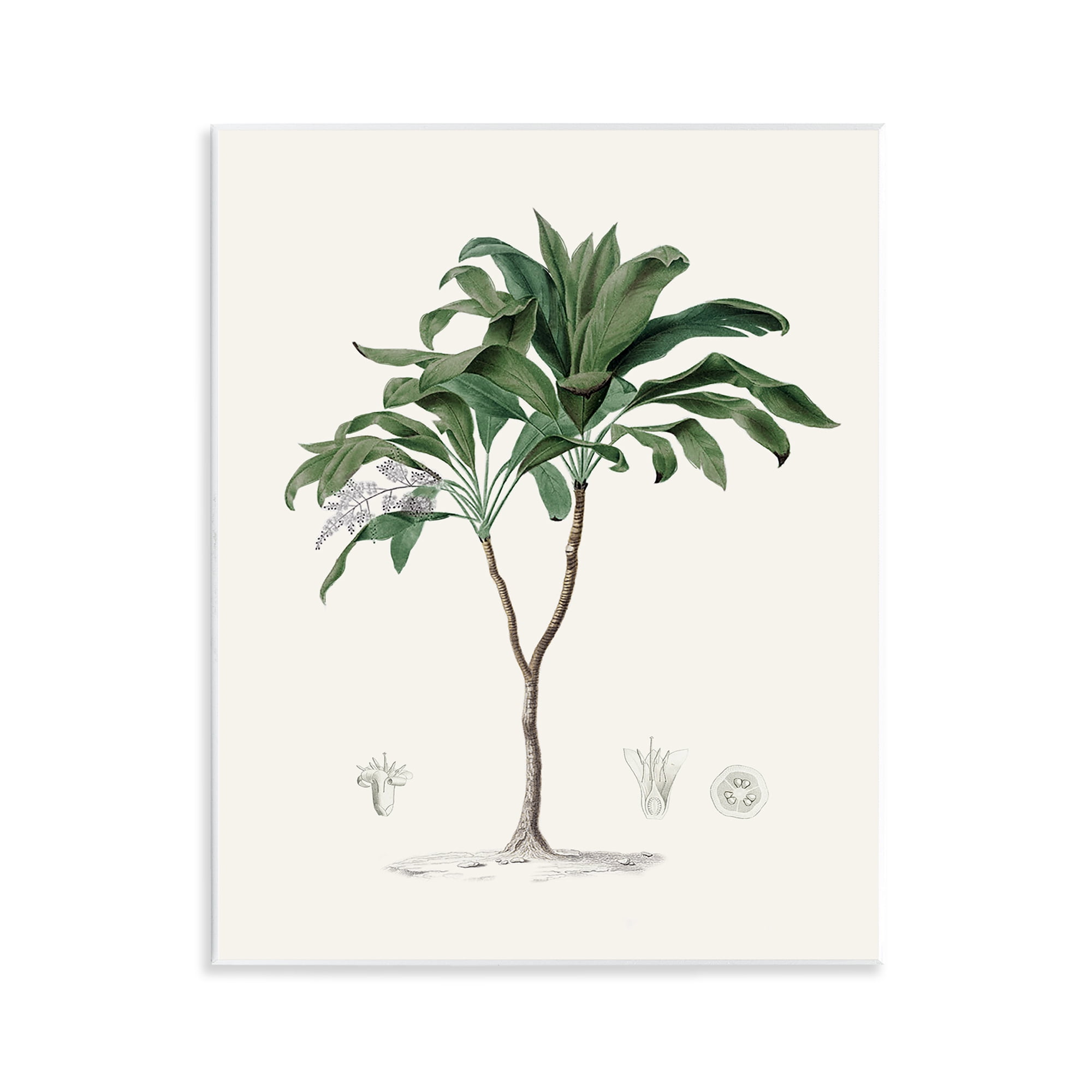 Stupell Industries Coastal Palms Vintage Wall Plaque Art, design by Val Rhodes