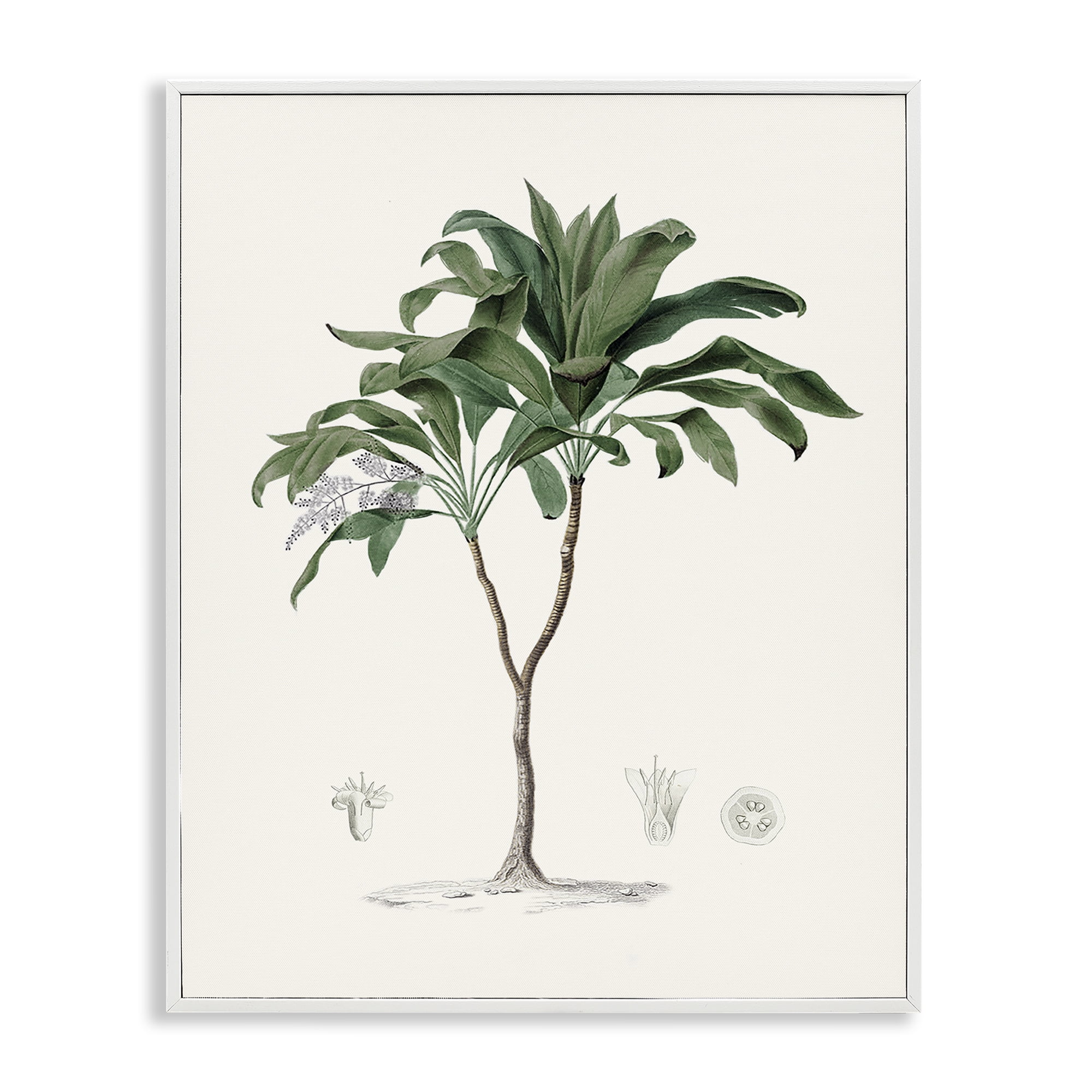 Stupell Industries Coastal Palms Vintage White Framed Giclee Art, design by Val Rhodes