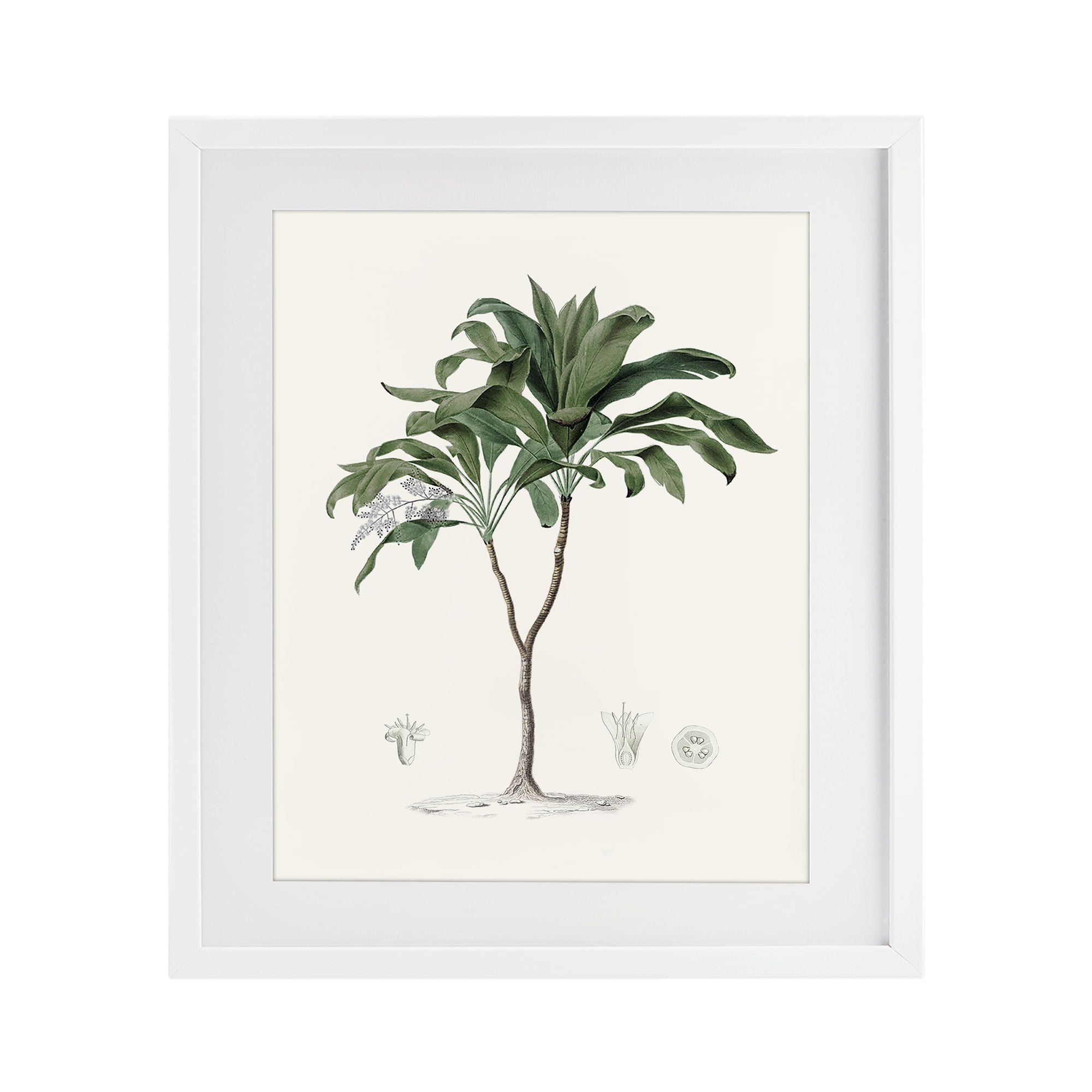 Stupell Industries Coastal Palms Vintage White Framed Print Under Glass, design by Val Rhodes