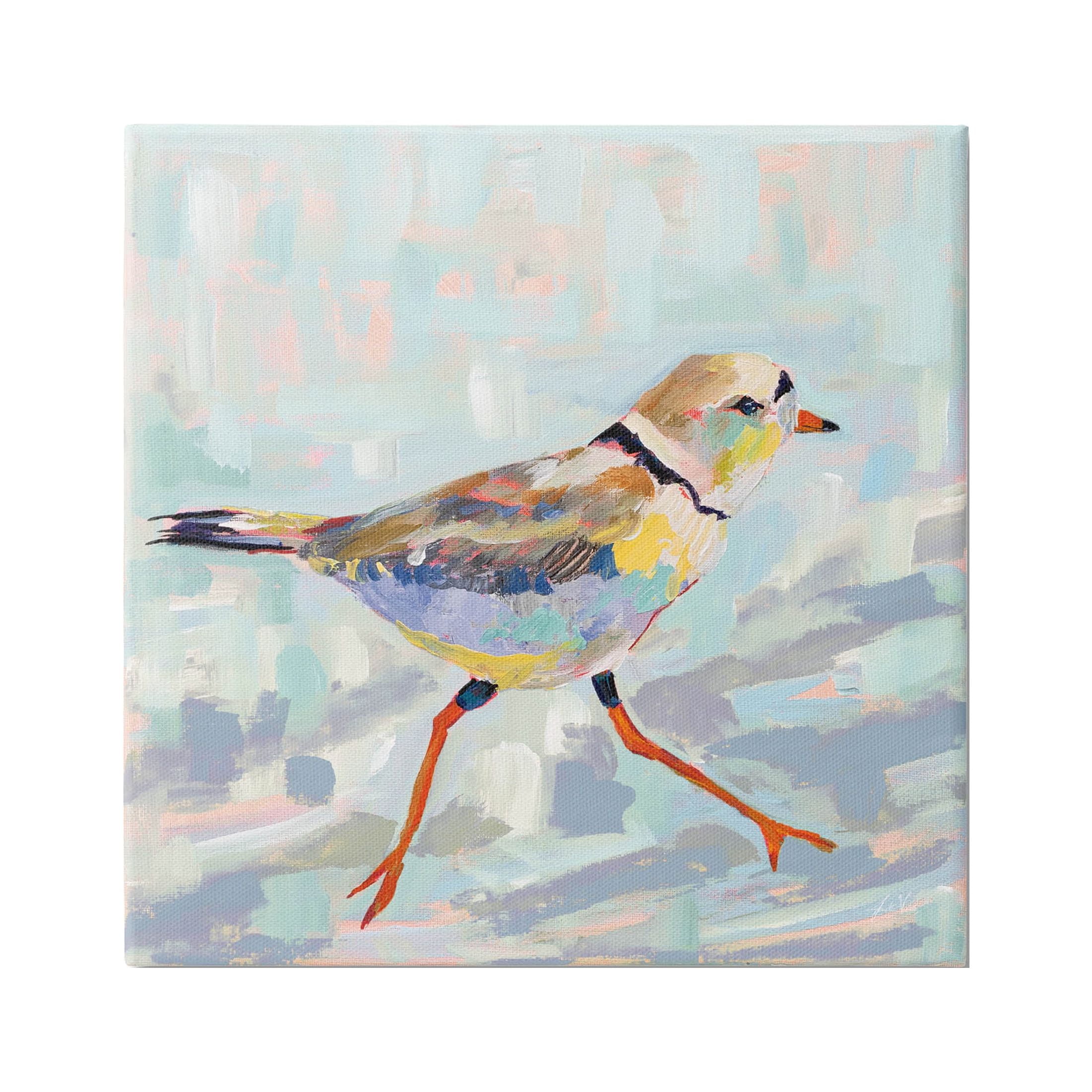 Coastal Plover Abstract Bird Canvas Wall Art