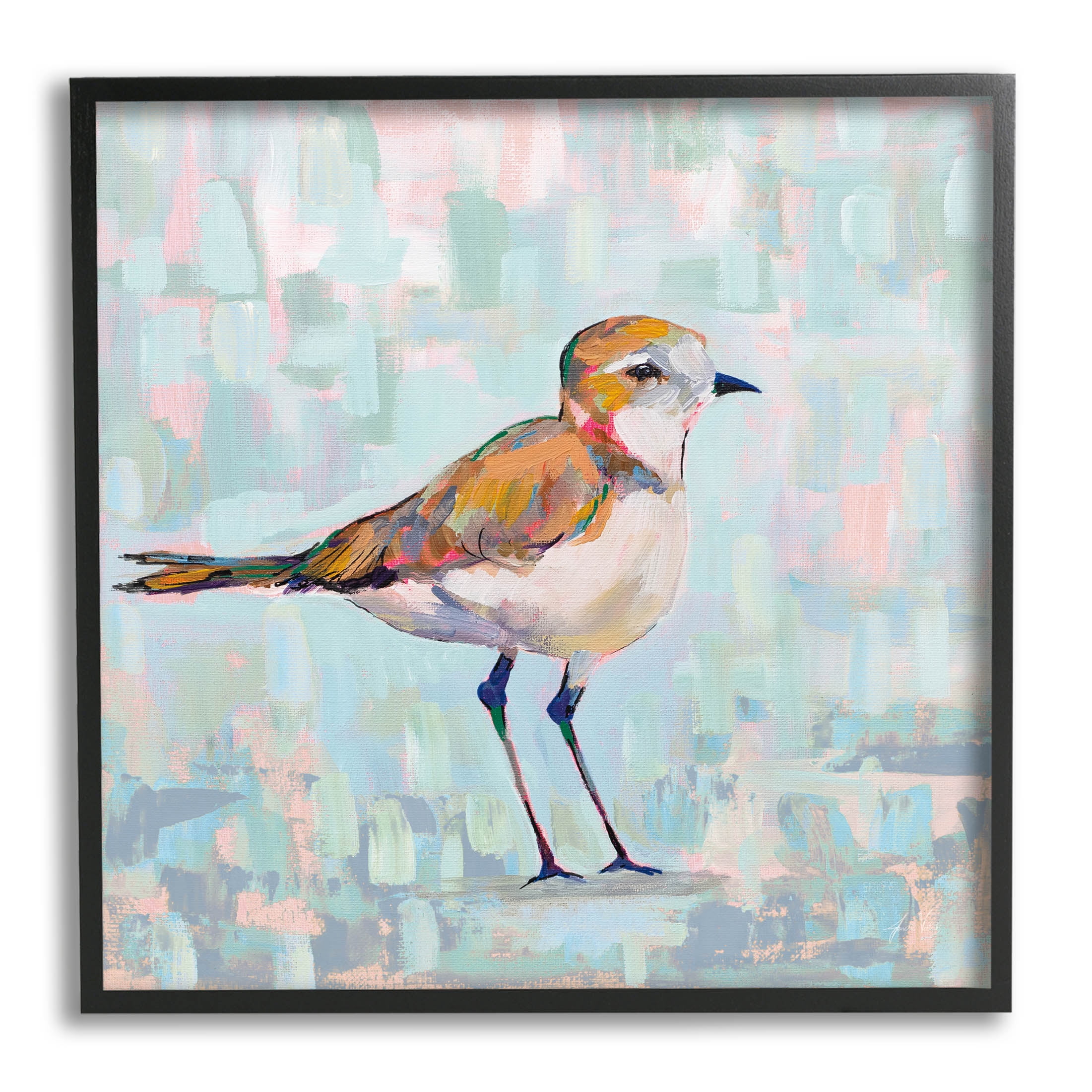 Stupell Industries Coastal Plover Nautical Bird Painting Black Framed Art Print Wall Art, Design by Jeanette Vertentes