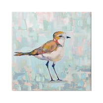 Stupell Industries Coastal Plover Nautical Bird Painting Gallery Wrapped Canvas Print Wall Art, Design by Jeanette Vertentes