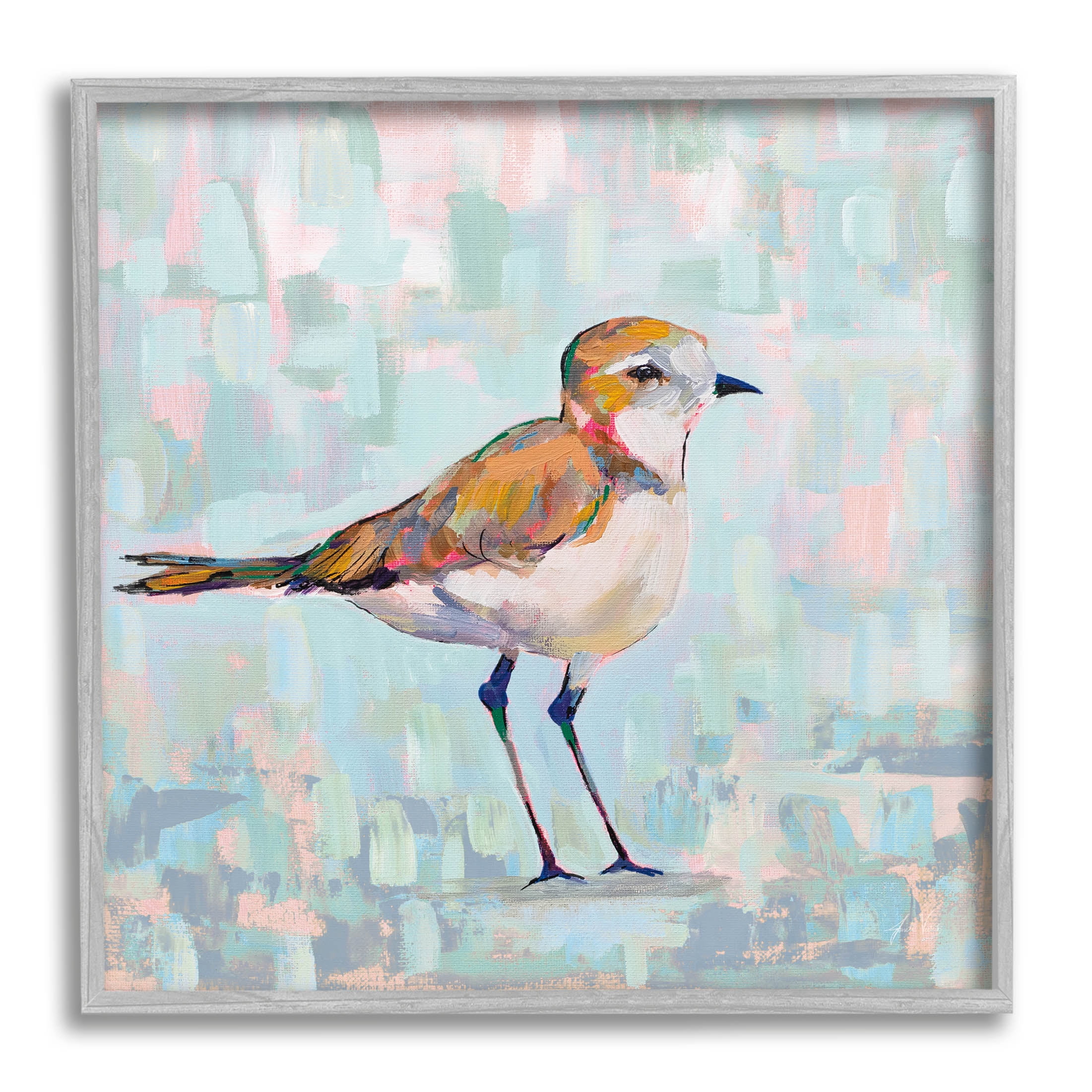 Stupell Industries Coastal Plover Nautical Bird Painting Gray Framed Art Print Wall Art, Design by Jeanette Vertentes