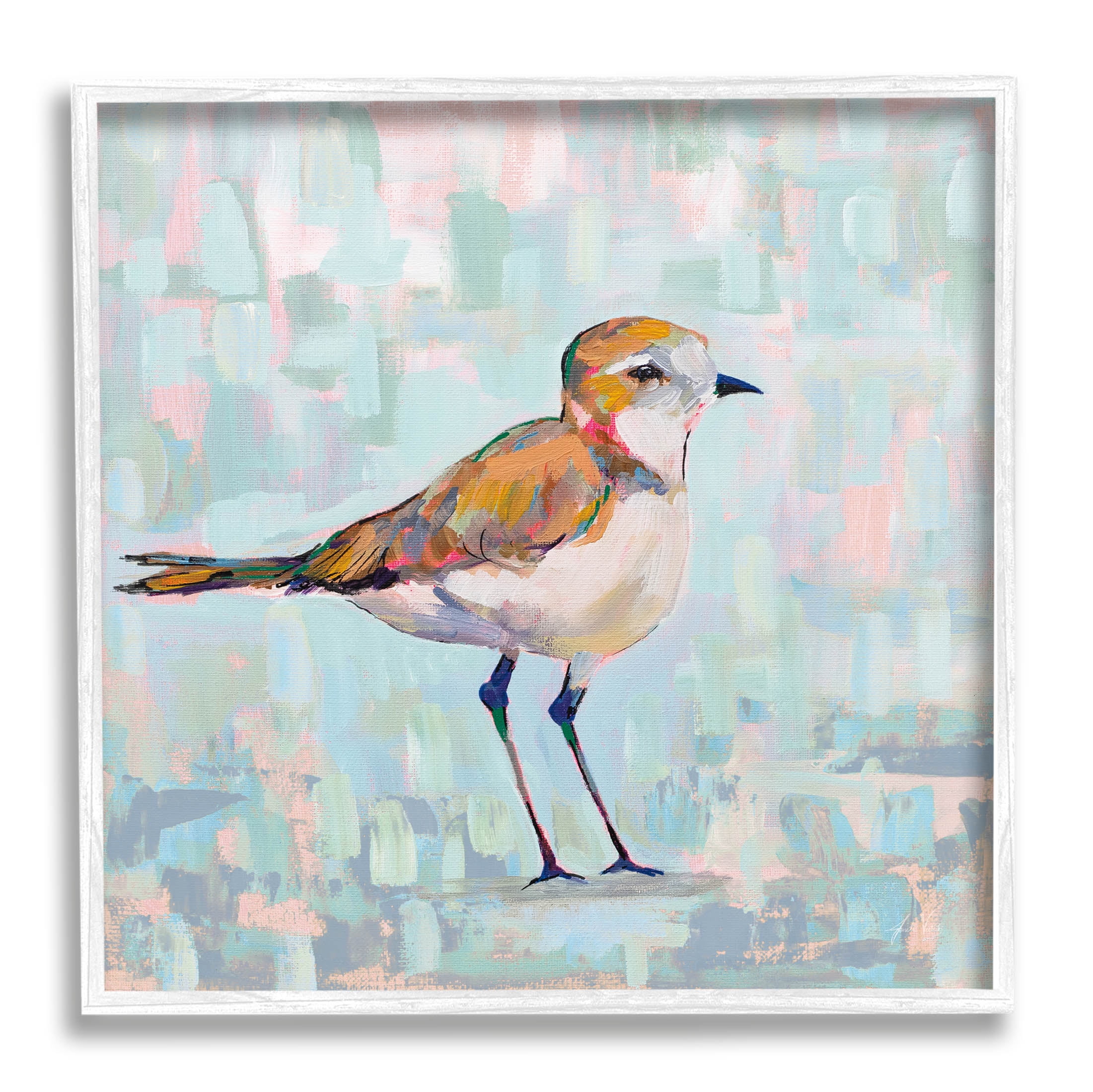 Stupell Industries Coastal Plover Nautical Bird Painting White Framed Art Print Wall Art, Design by Jeanette Vertentes
