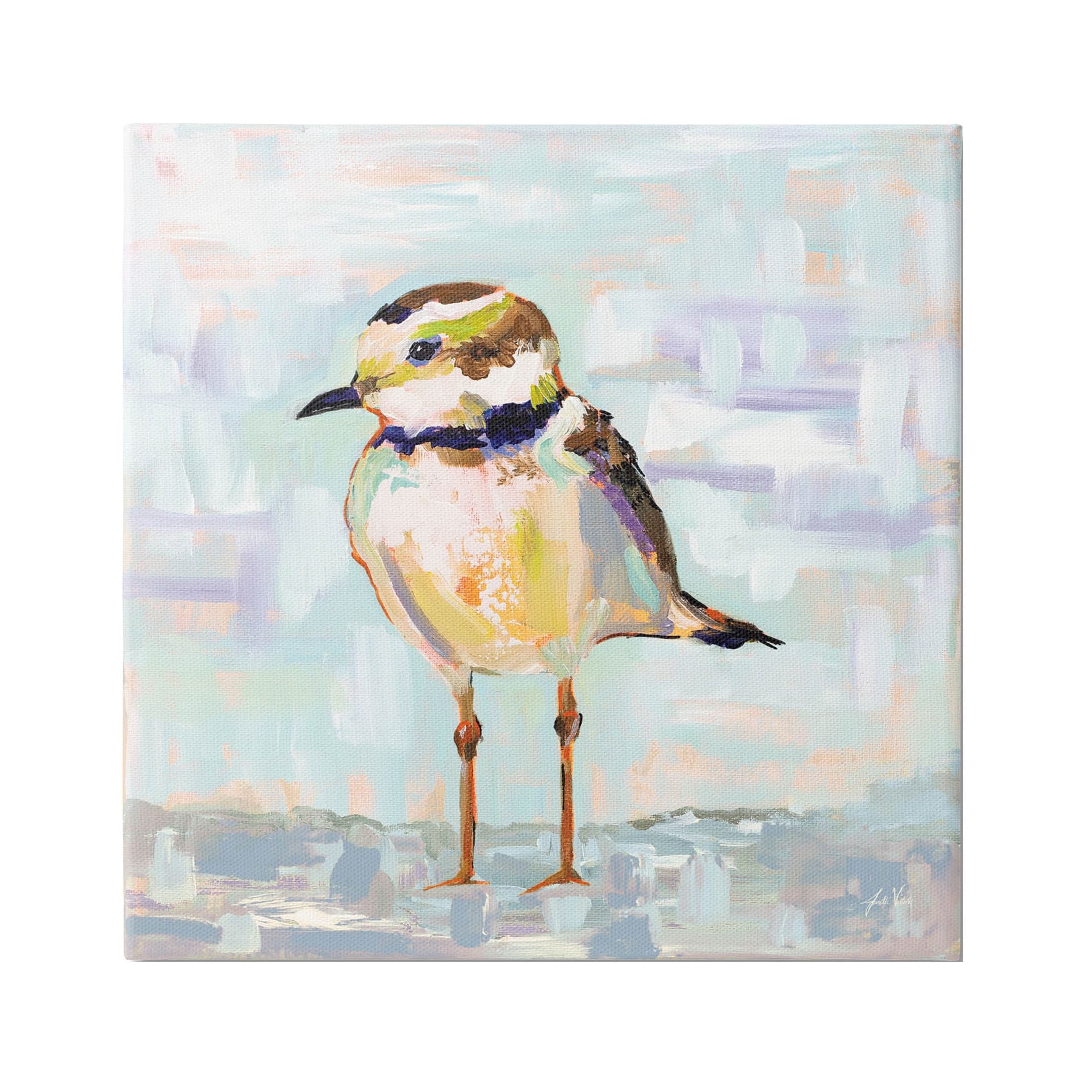 Stupell Industries Coastal Plover Patchwork Abstract Painting Gallery Wrapped Canvas Print Wall Art, Design by Jeanette Vertentes