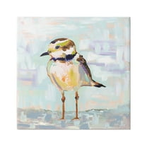 Stupell Industries Coastal Plover Patchwork Abstract Painting Gallery Wrapped Canvas Print Wall Art, Design by Jeanette Vertentes