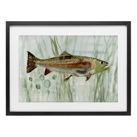 Stupell Industries Coastal Rainbow Trout Among Reeds Black Framed Print Under Glass, 23 x 17, by Stellar Design Studio